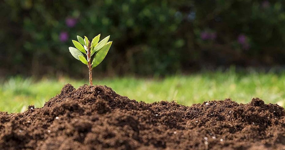 Five Best Soil Types