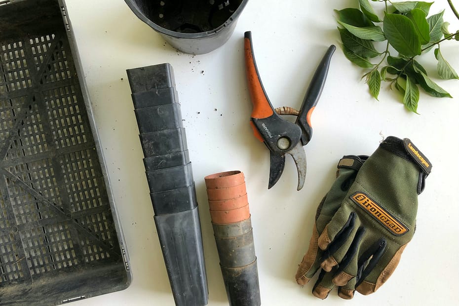 Best Gardening Tools for Beginners