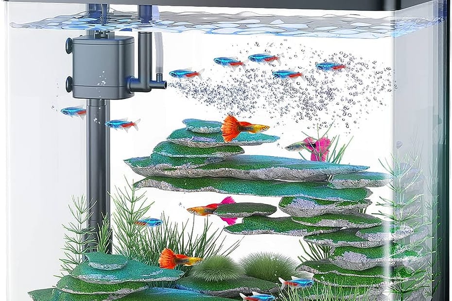 The 7 Best 5-Gallon Aquarium Filter