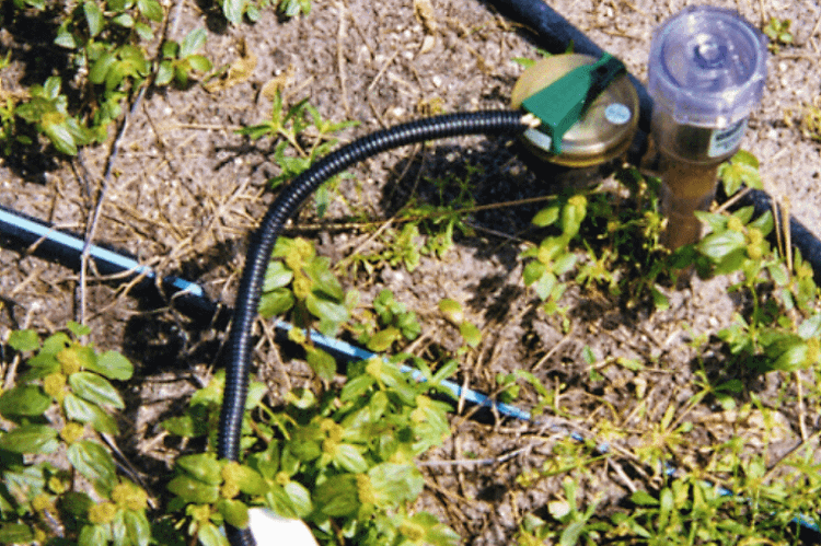 open loop irrigation