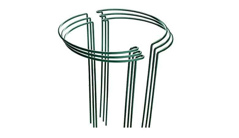 LEOBRO 4 Pack Plant Support Stake