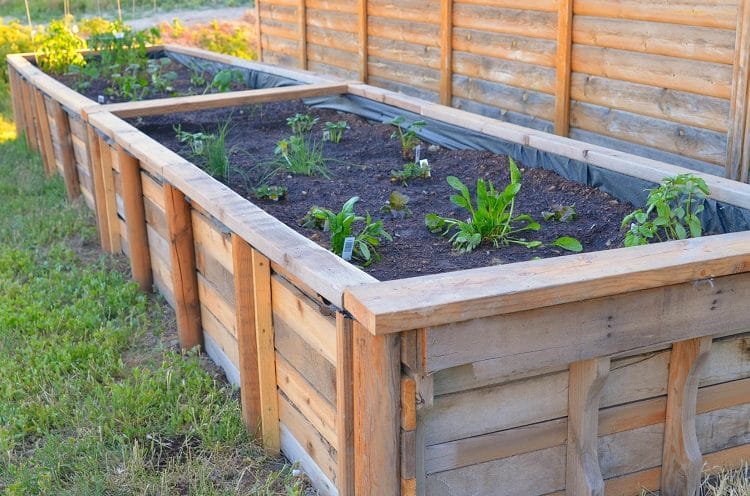 Benefits of Pallet Raised Garden Beds