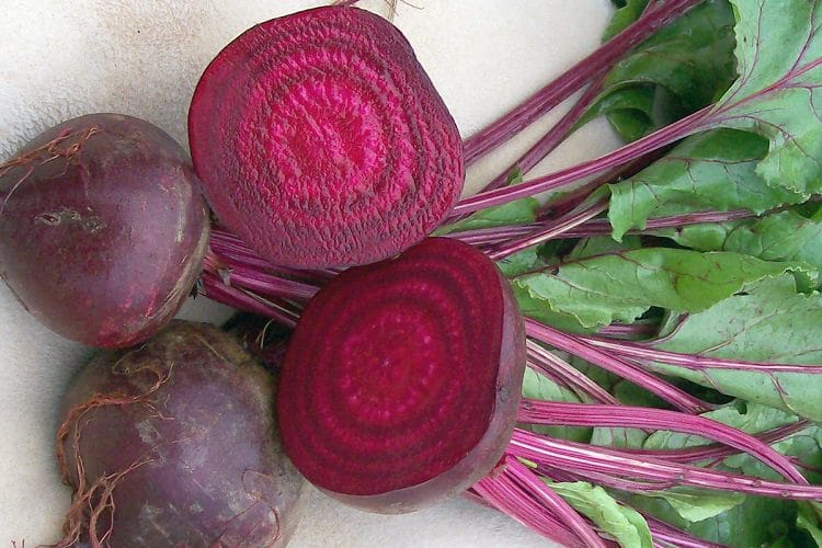 When to plant beets?