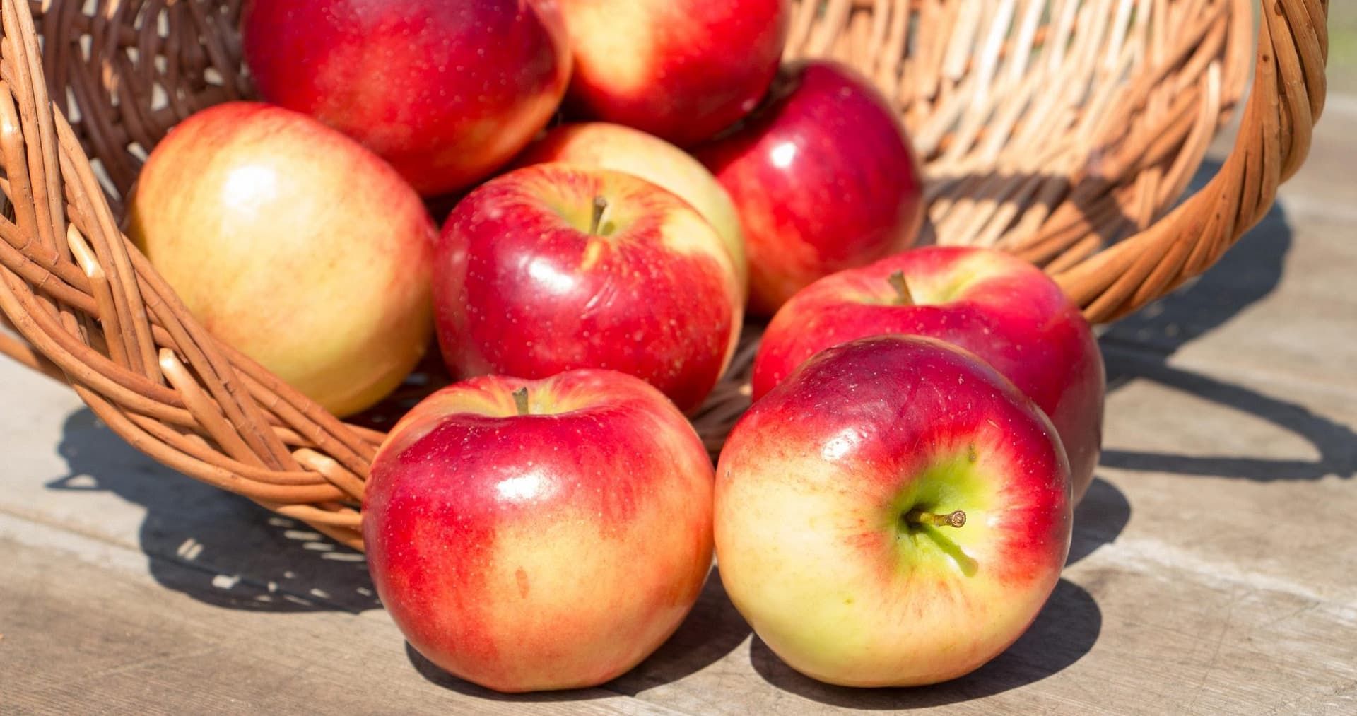 How To Store Apples For Long Shelf Life?