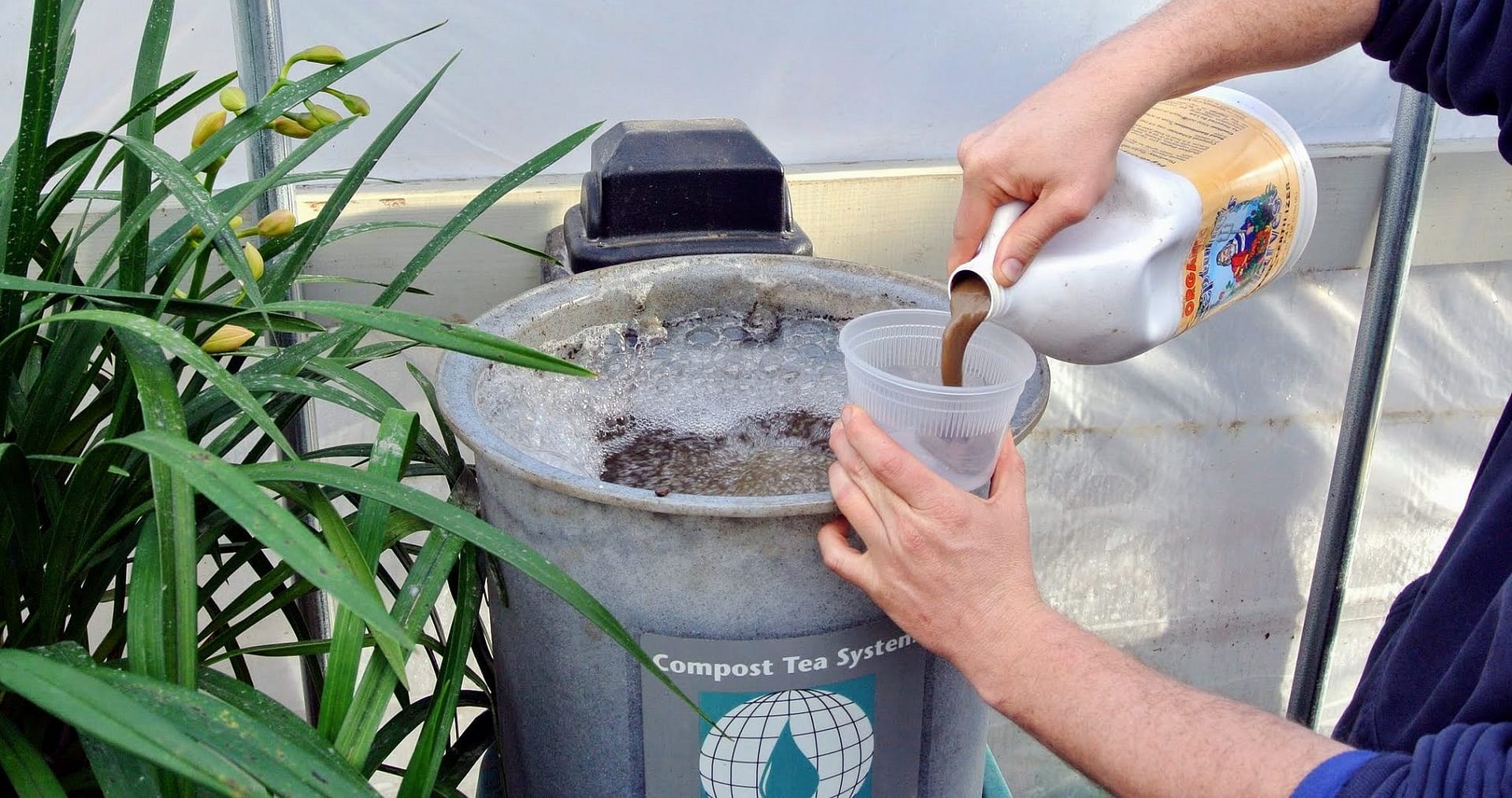How To Make Compost Tea