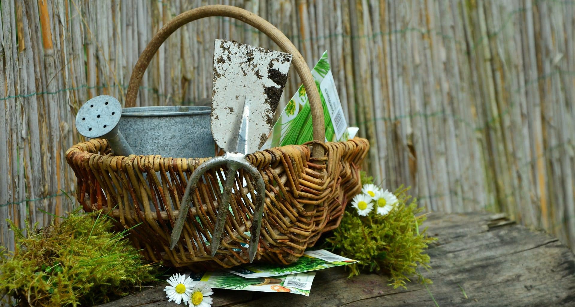 44 Gifts For Gardeners