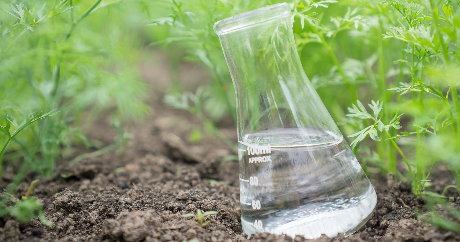 11 Best Liquid Fertilizers