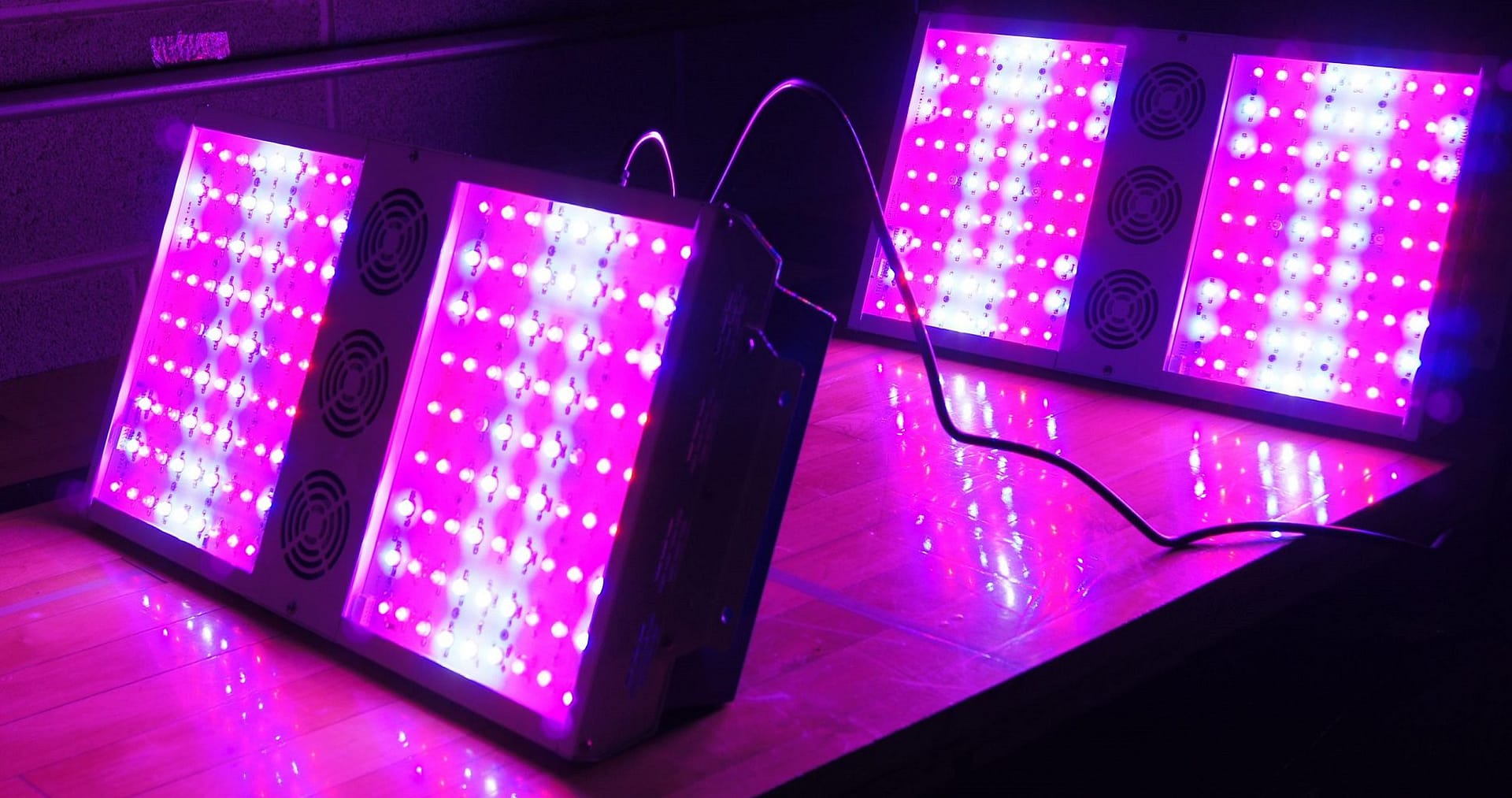 Best Full Spectrum LED Grow Lights