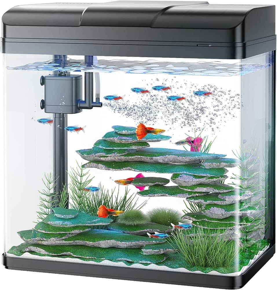 The 7 Best 5-Gallon Aquarium Filter