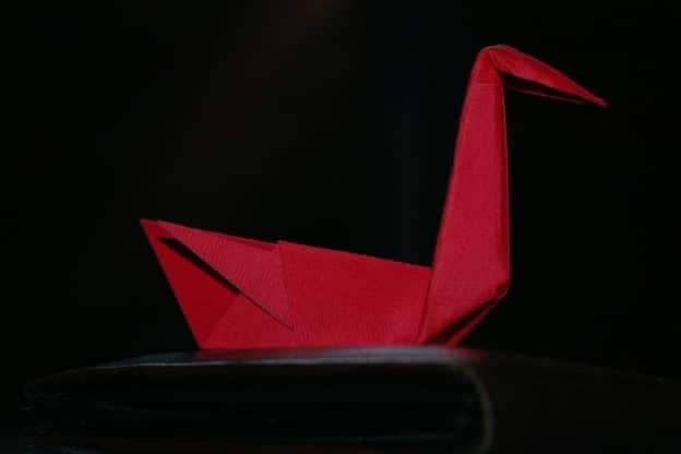 Origami for Beginners Picture 4